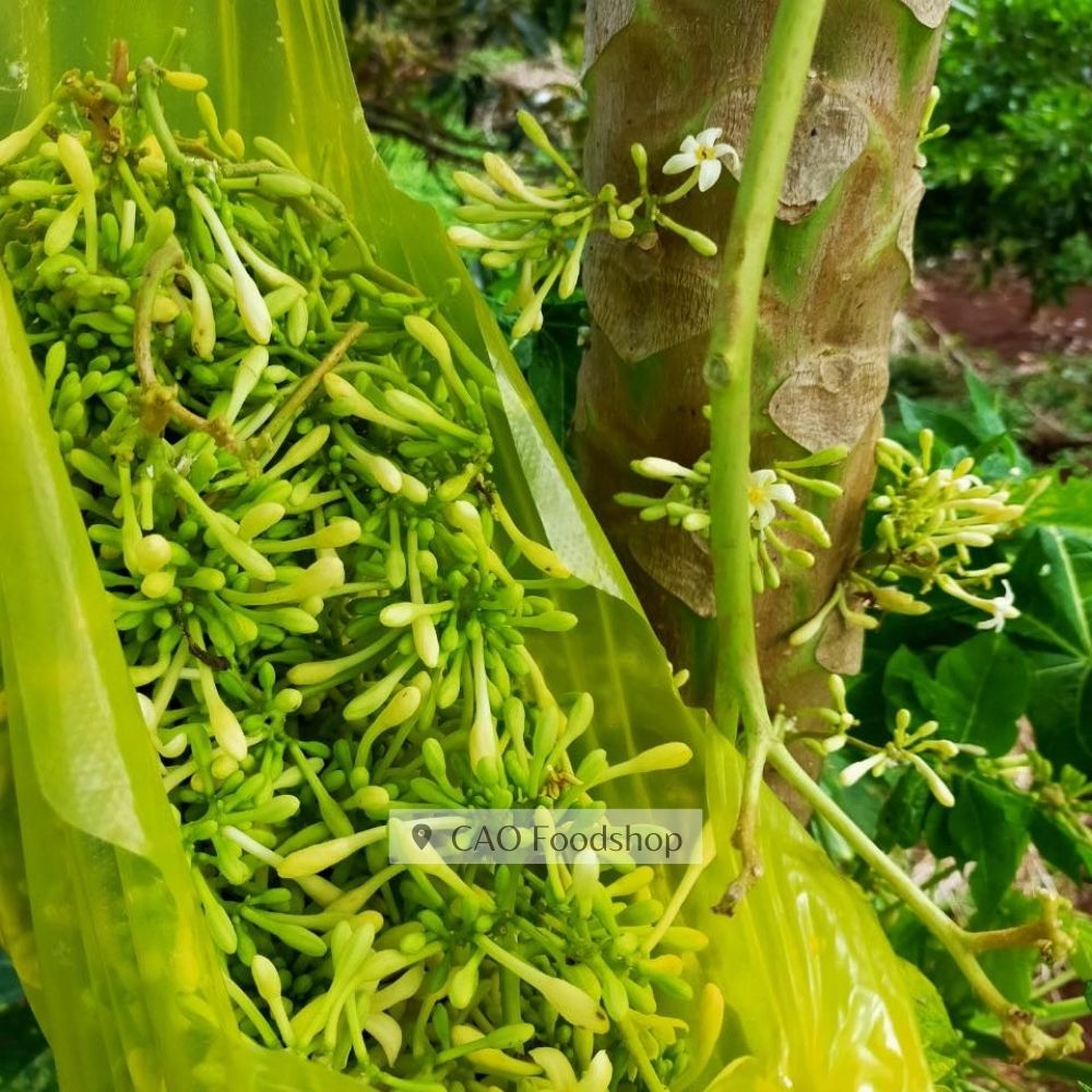 [1L] Mật ong ngâm hoa đu đủ đực nhà làm siêu tốt cho sức khỏe