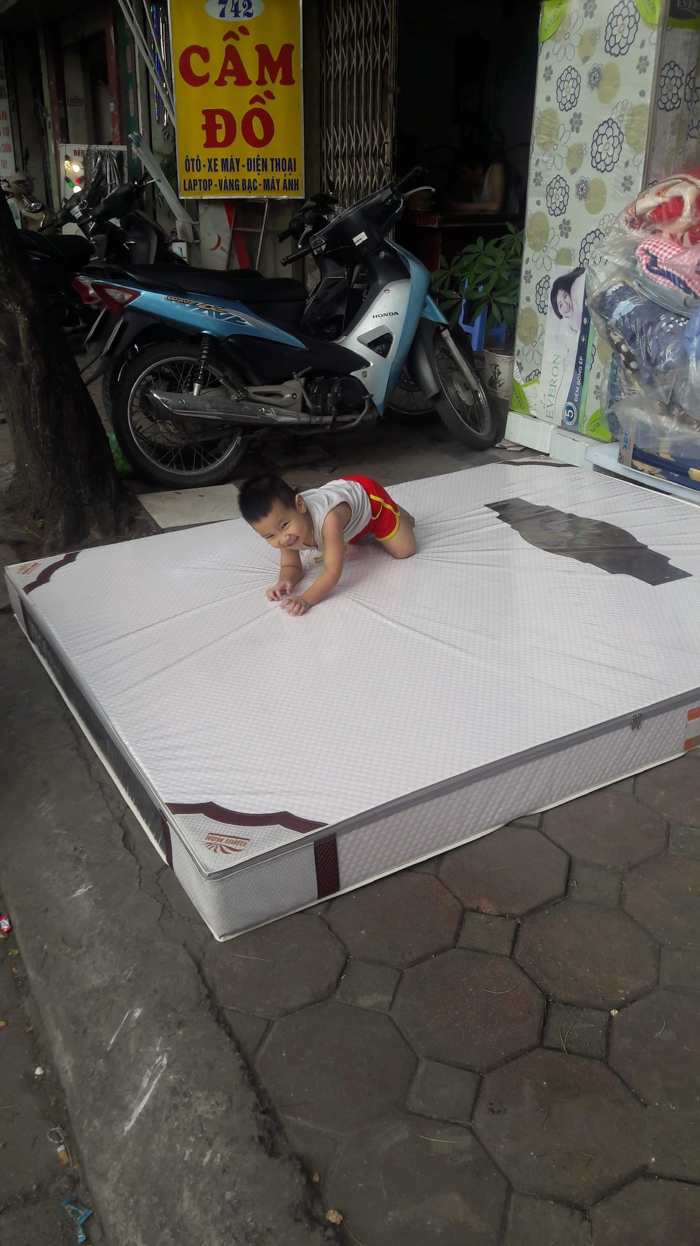 Đệm FOAM BEBOP Cao Cấp Rẻ Nhất Sàn