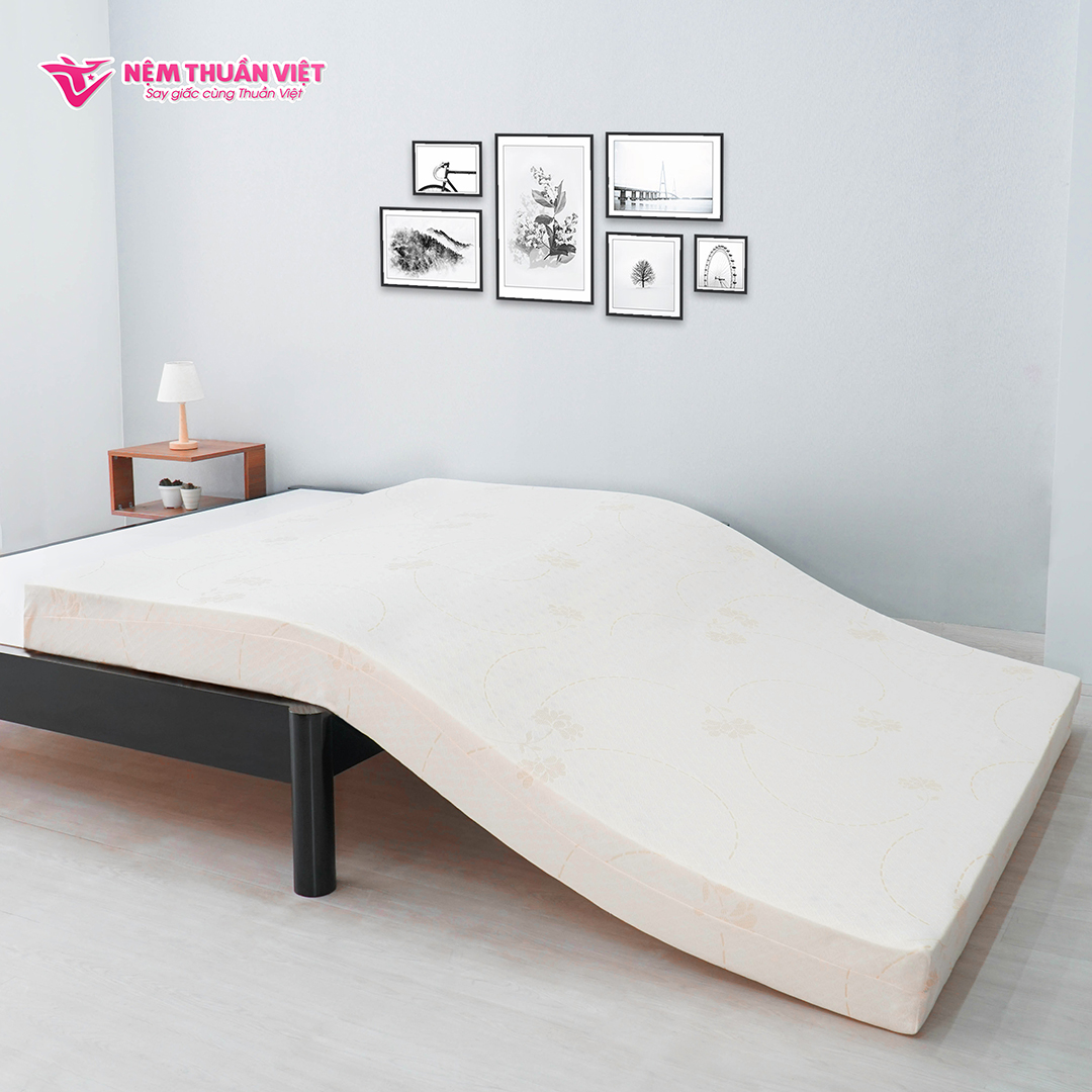 Nệm Foam Thuần Việt Premium (Đồ dùng phòng ngủ)