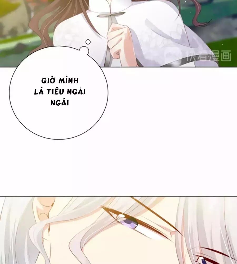 tình yêu là thế phần 2 chapter 55 39