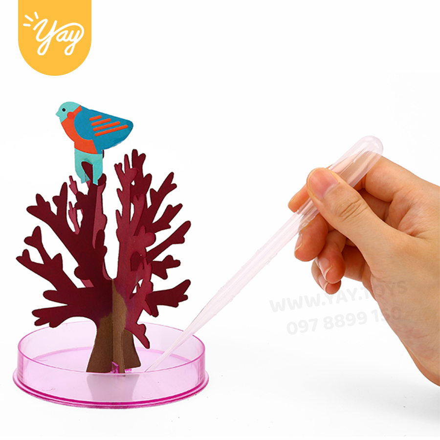 Cây Hoa Anh Đào Sakura Trang Trí Thần Kỳ Tự Nở Cho bé 3+ - Tooky Toy