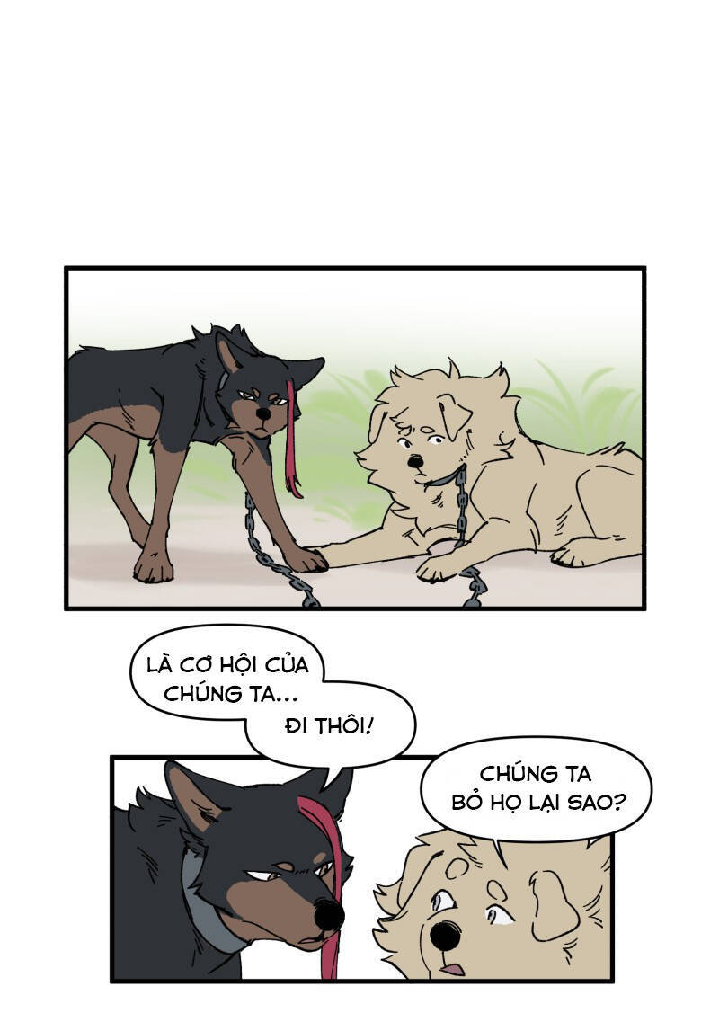 lumine - cội nguồn ánh sáng chapter 151 16