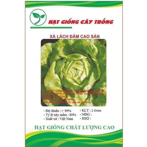 Hạt giống rau xà lách đăm xanh cao sản CT101 - Gói 2gram