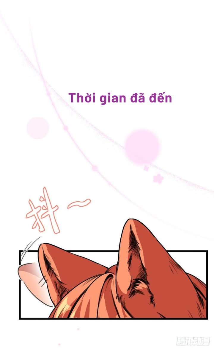 anh đã vượt quá giới hạn rồi, chủ nhân ngu ngốc chapter 1 11