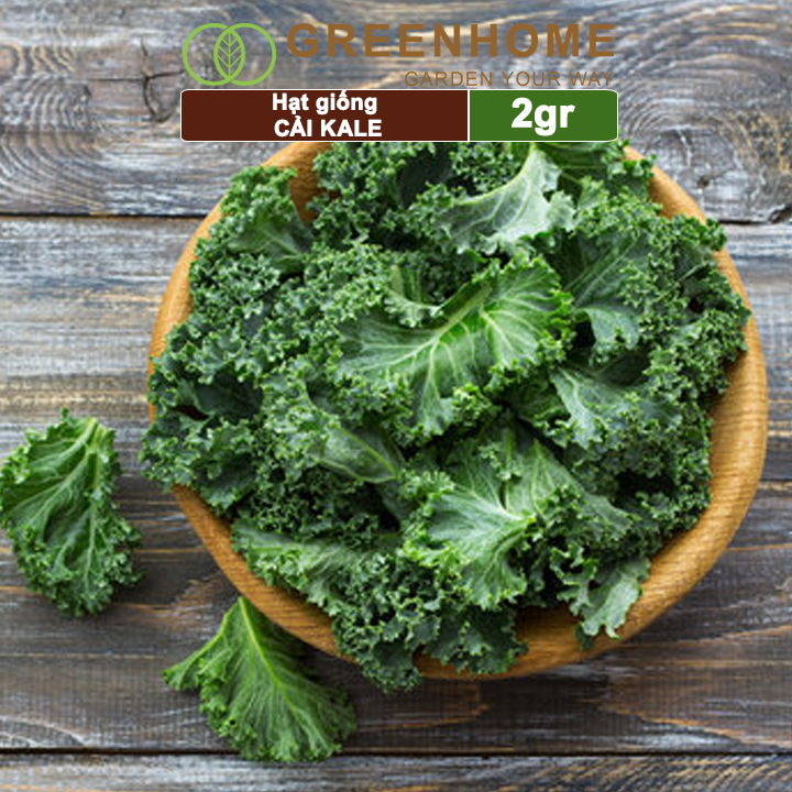 Hạt giống Cải xoăn Kale Greenhome, 2gr, dễ trồng, giàu dinh dưỡng R16