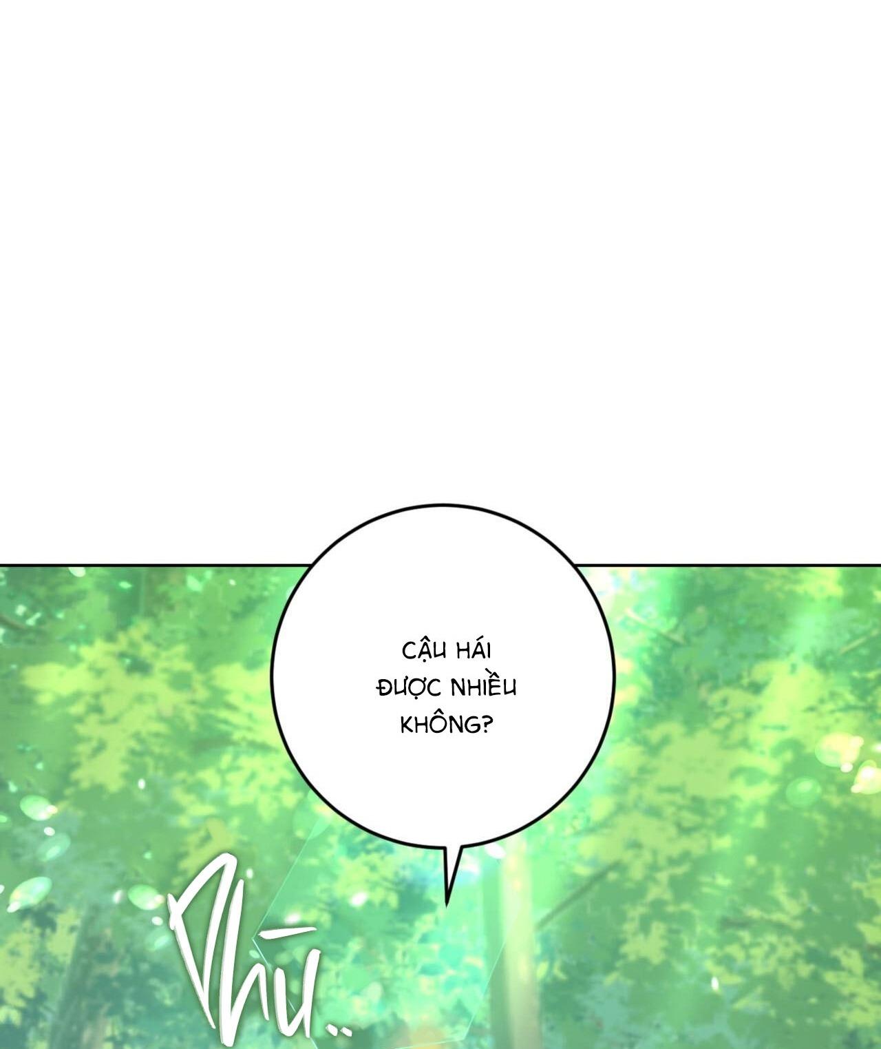 khu rừng tĩnh lặng chapter 3 27