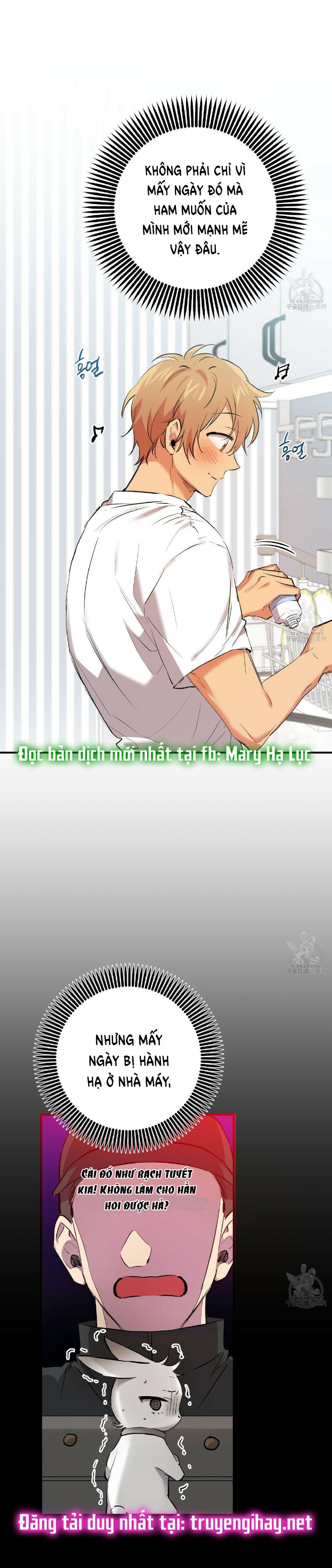 những chú thỏ của hapypy chapter 52.1 5