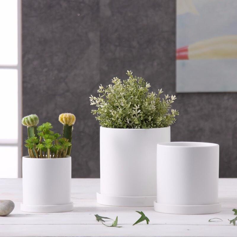 Chậu trồng cây hình trụ/ chậu sứ men mát rộng 15cm cao 15cm