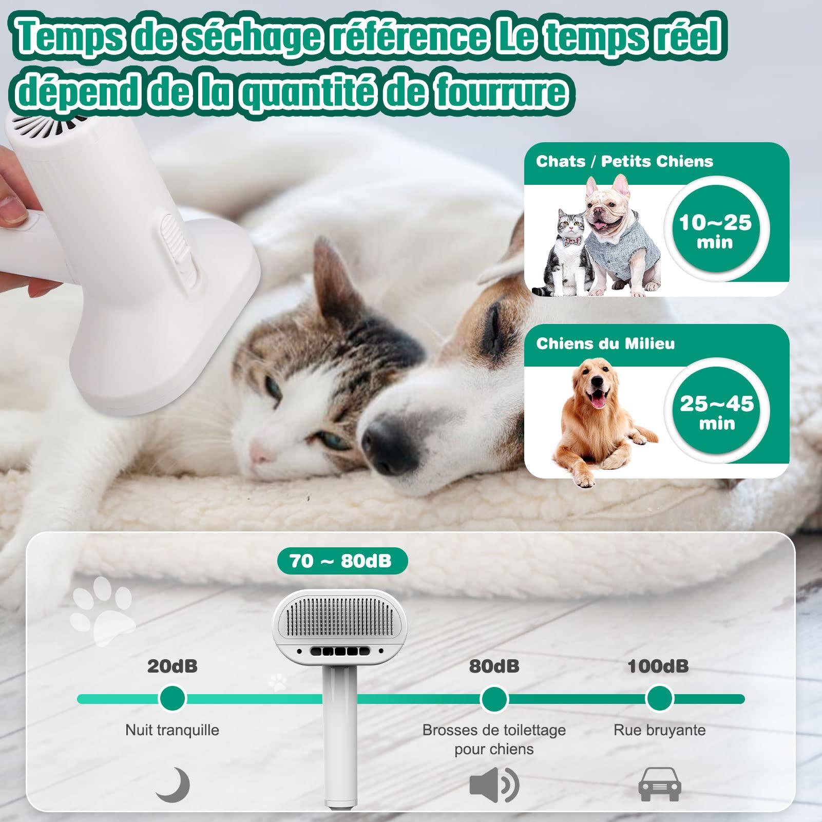 Chó và mèo quạt gió với 2 trong 1 bàn chải làm mịn, bàn chải chải chuốt mèo và chó, vật nuôi, lược massage cho mèo và chó với mái tóc ngắn