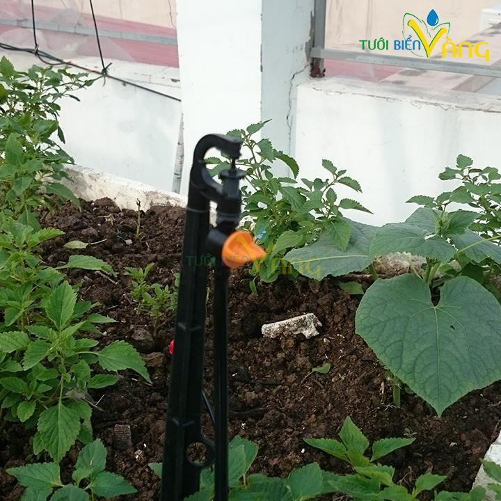 Béc tưới G5 phun mưa thiết kế chống côn trùng giá sỉ 500 béc - có van điều chỉnh tưới cây,phun mưa cho cây ăn quả lâunăm