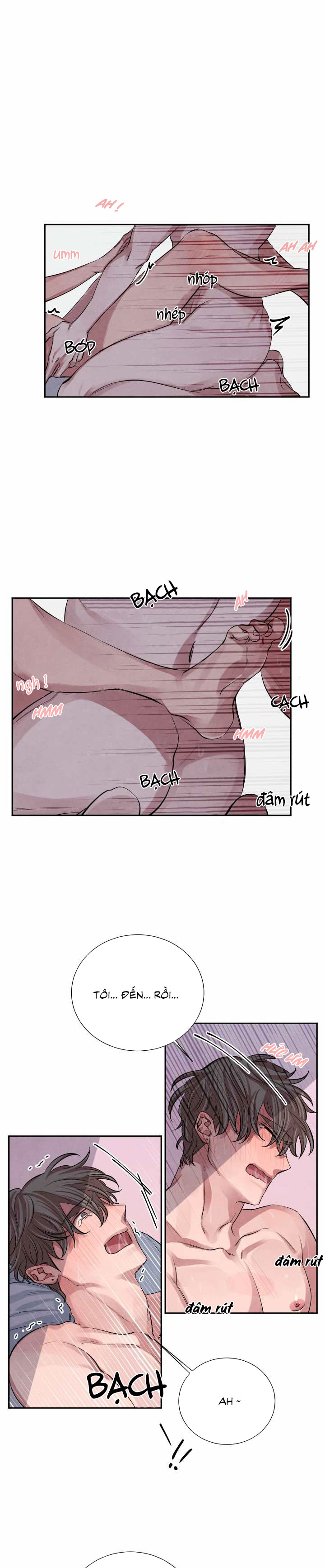 tiếng san hô nở chapter 12 5