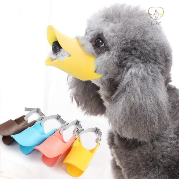 Rọ mõm mỏ vịt cho chó