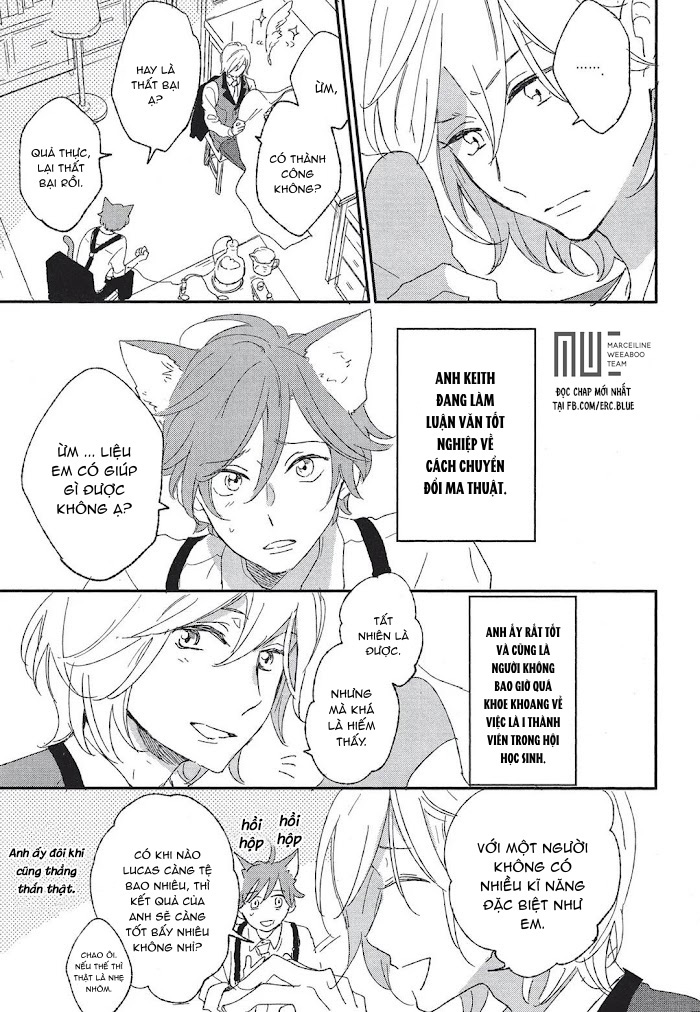 neko to mahou wa kiss de hodokeru chapter 1 11