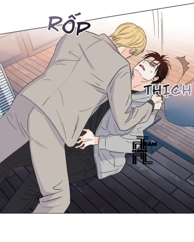 cái giá của sự nổi tiếng chapter 10 13