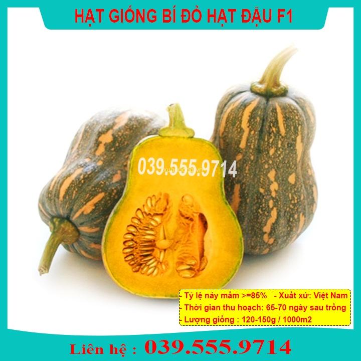 Hạt Giống Bí Đỏ Hạt Đậu F1 Gói 2Gram ( Bí Cô Tiên), quả to đẹp