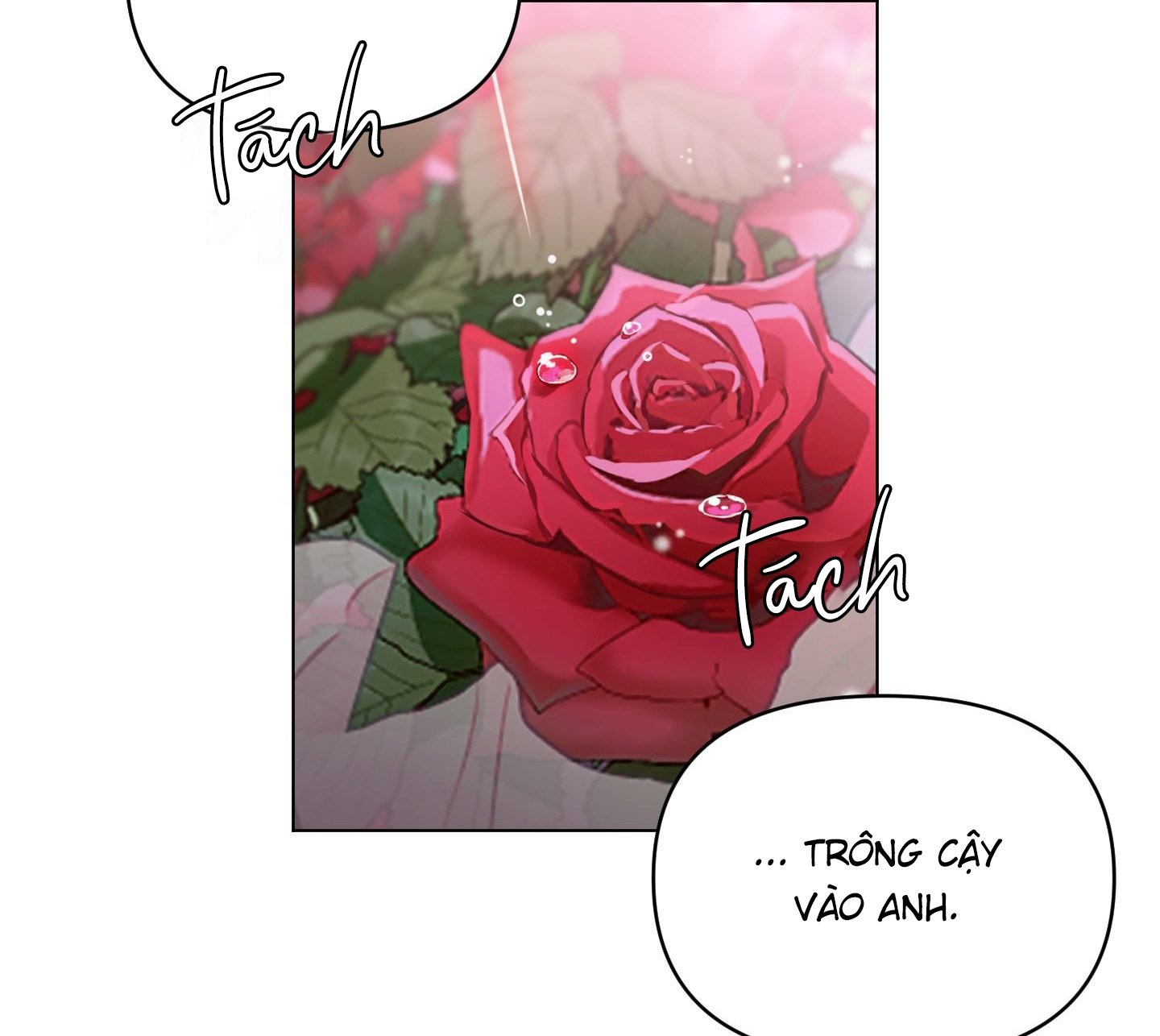 định rõ mối quan hệ chapter 69 126