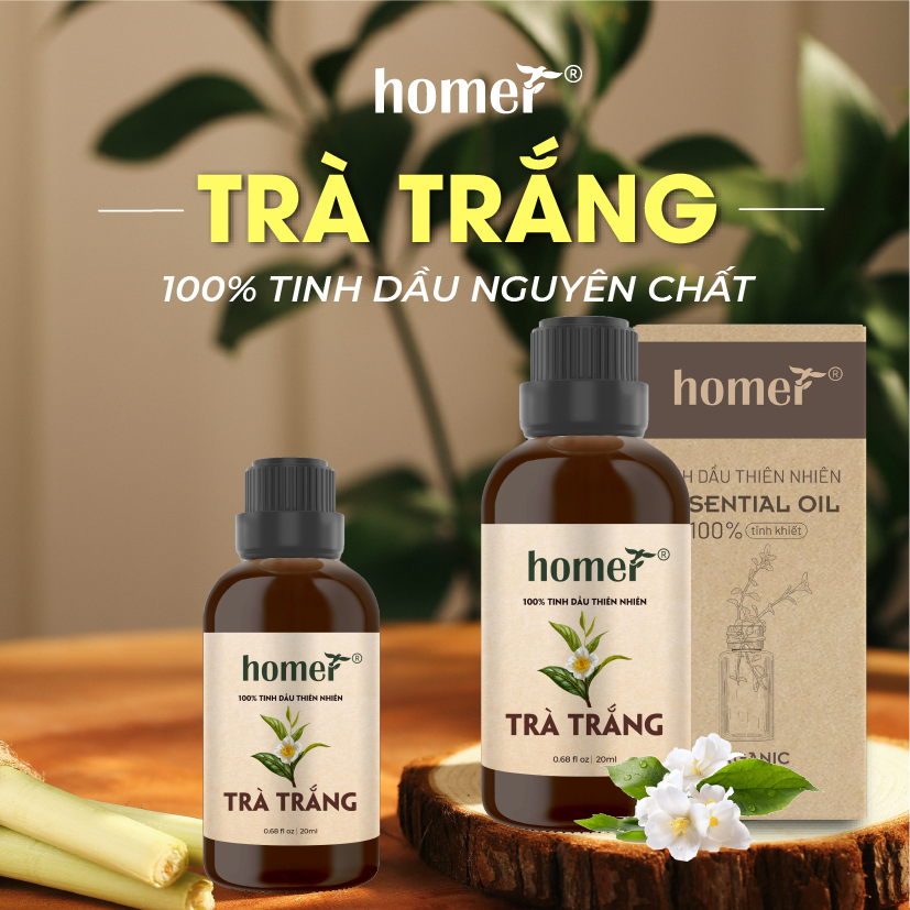 Tinh Dầu Trà Trắng Homer 100ml - Chính Hãng, Đạt Chuẩn Kiểm Định Cao Cấp - Tinh Dầu Xông Thơm Phòng, Thư Giãn, Khử Mùi hiệu quả