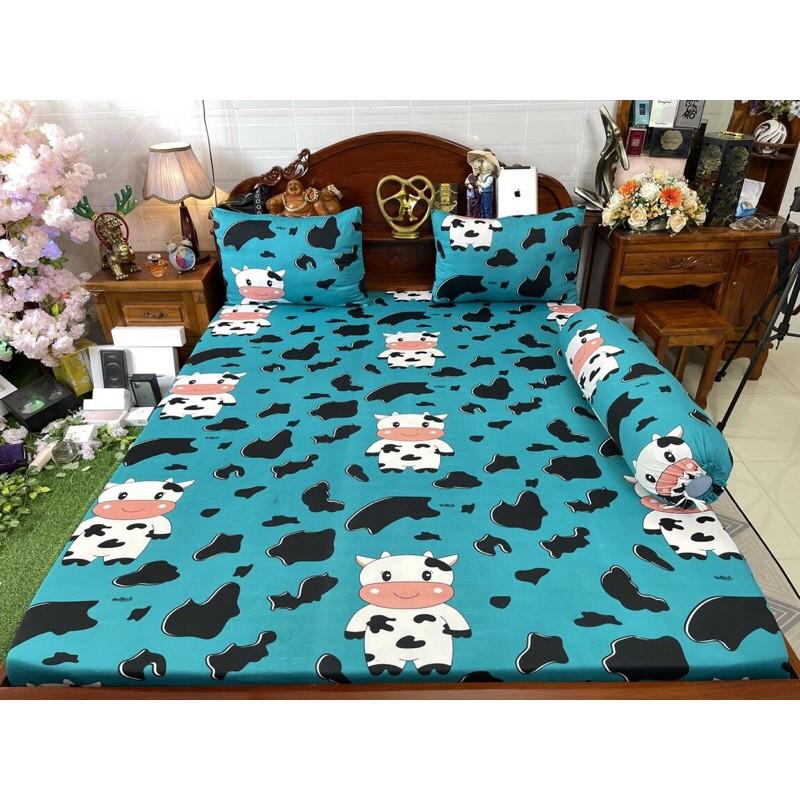Drap thun hàn quốc