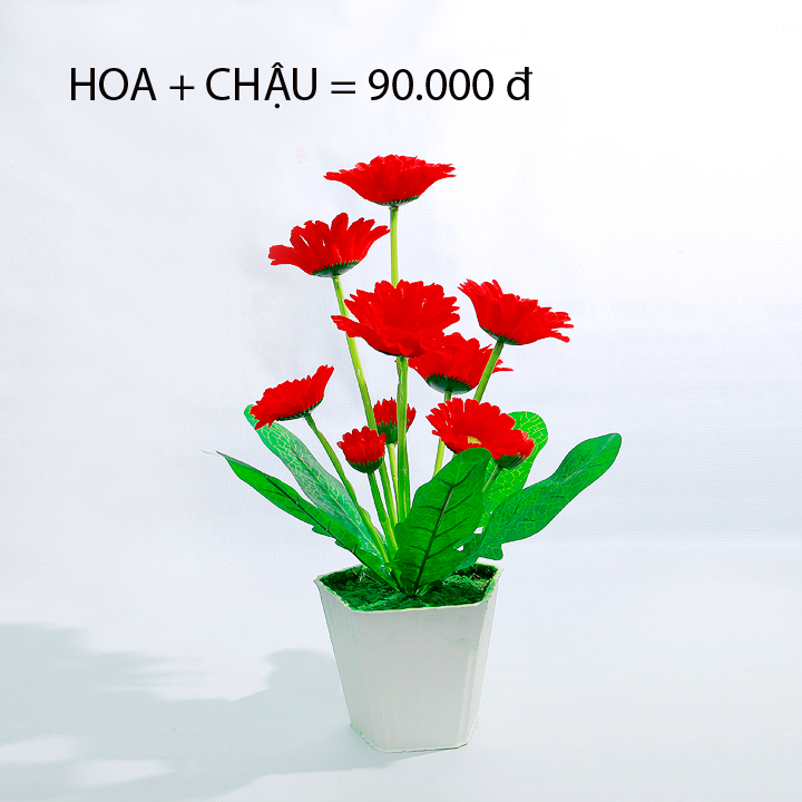 HOA GIẢ - CHẬU HOA ĐỒNG TIỀN