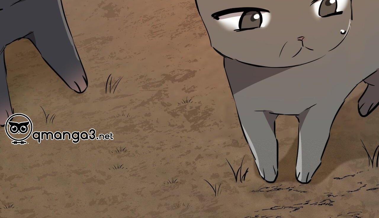 đàn thỏ của habibi chapter 48 284