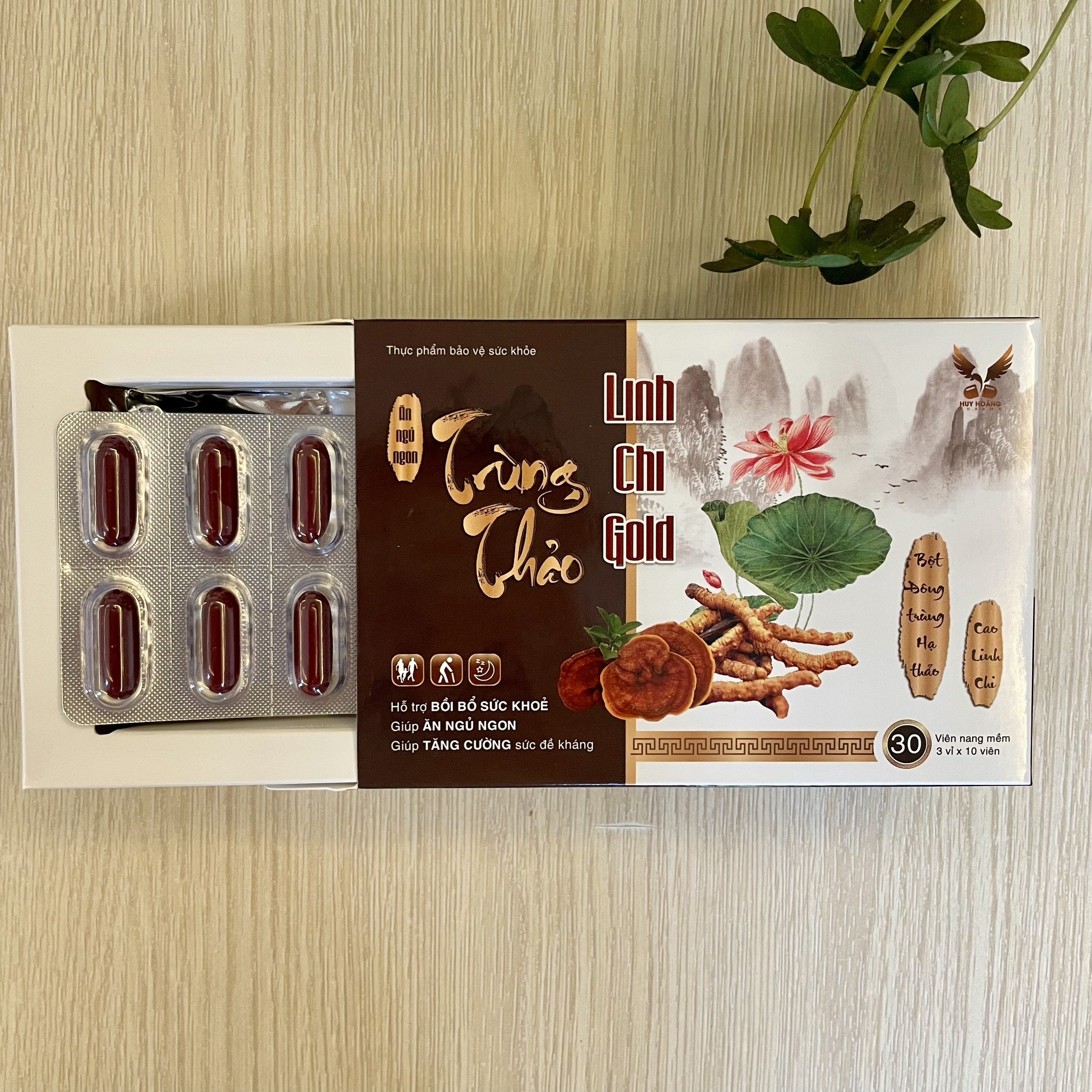 TRÙNG THẢO LINH CHI GOLD - Hỗ Trợ Ăn Ngủ Ngon