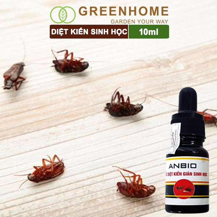 Thuốc diệt kiến gián sinh học Anbio, chai 10ml, an toàn, hiệu quả, tiết kiệm |Greenhome