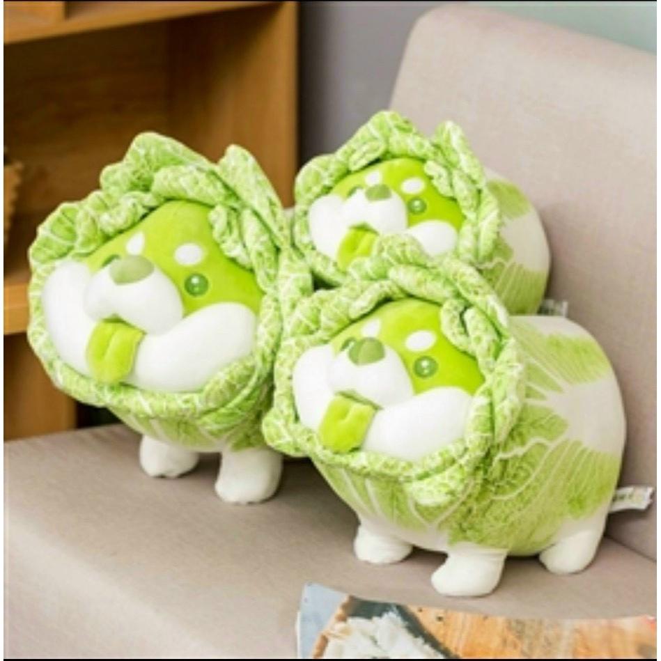 Gấu bông chó Shiba Cải Thảo Vegetable Fairy  dễ thương kích thước (30-50-60cm) - Gối chó bắp cải 55 cm