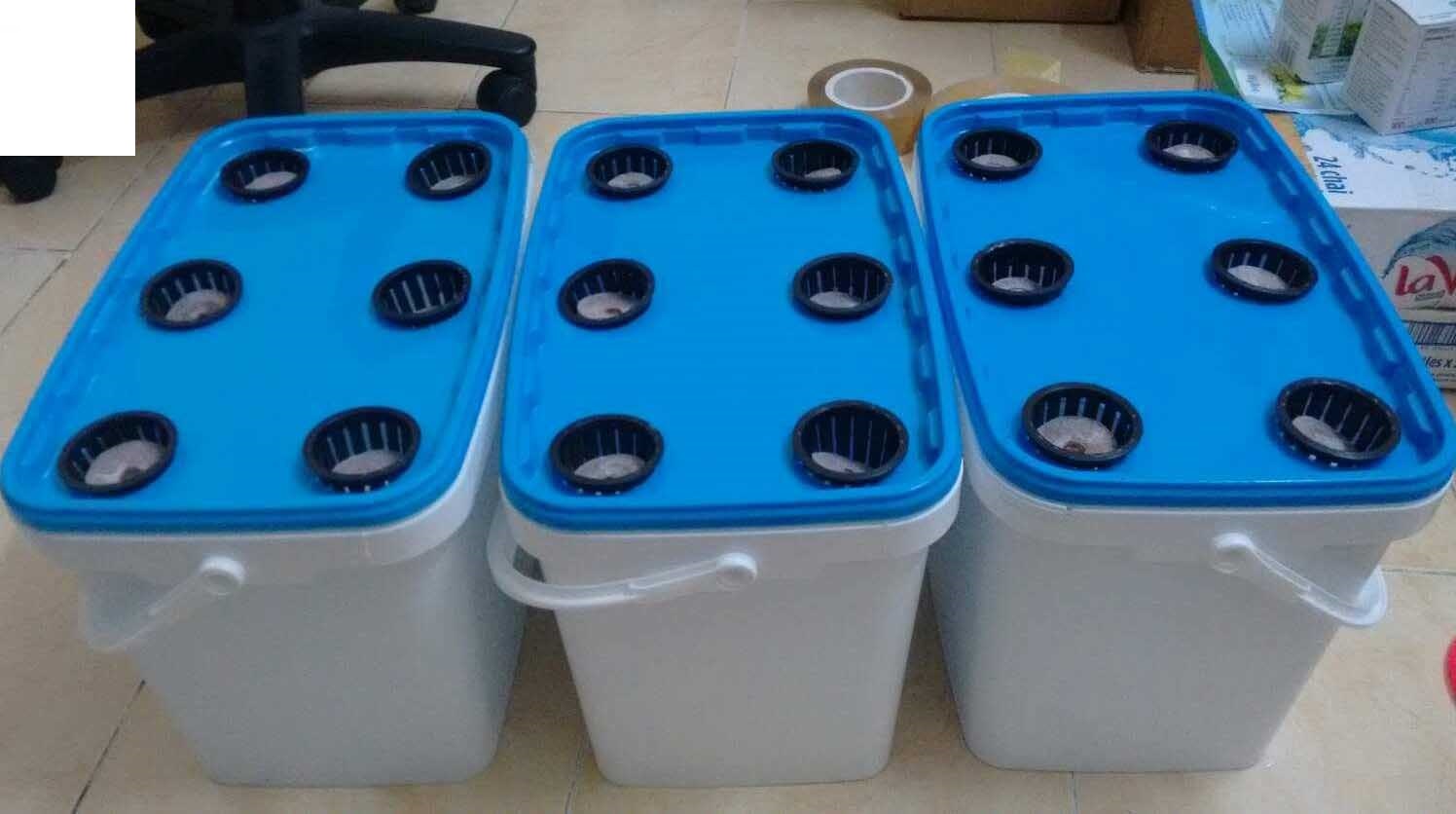 COMBO 3 THÙNG TRỒNG RAU + 3 CẶP DUNG DỊCH THỦY CANH HYDROUMAT V + 1 BÚT ĐO NỒNG ĐỘ TDS - 3 METER -HOLD-