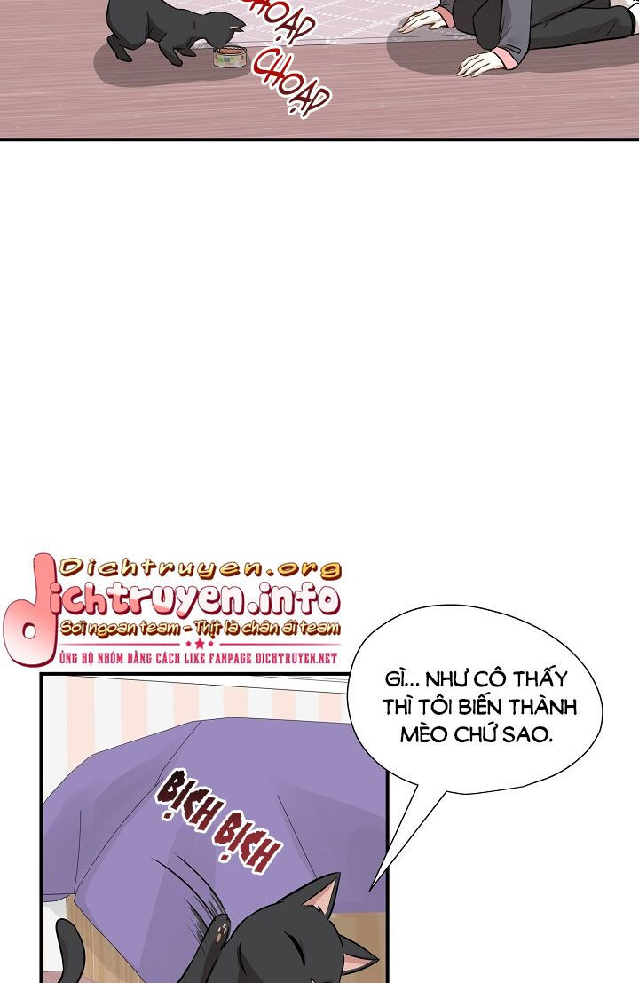 cuộc sống kỳ thú chapter 52 35