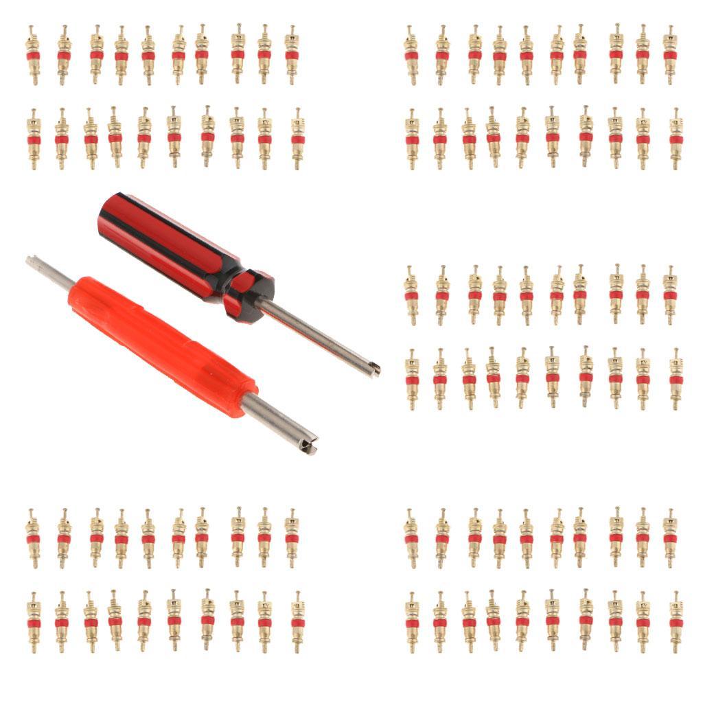 102Pcs Tire Valve Stem Core Part Dual /Single Head Valve Core Remover Set