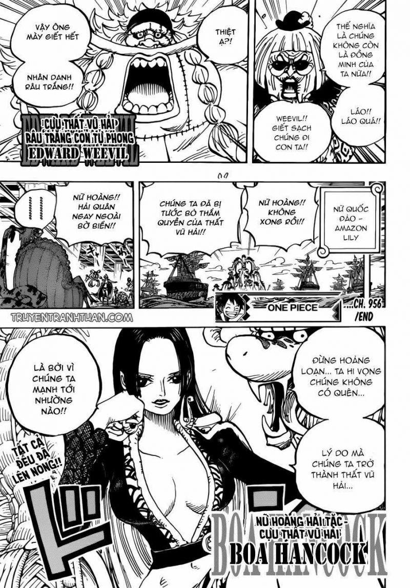 đảo hải tặc - one piece chapter 956 17