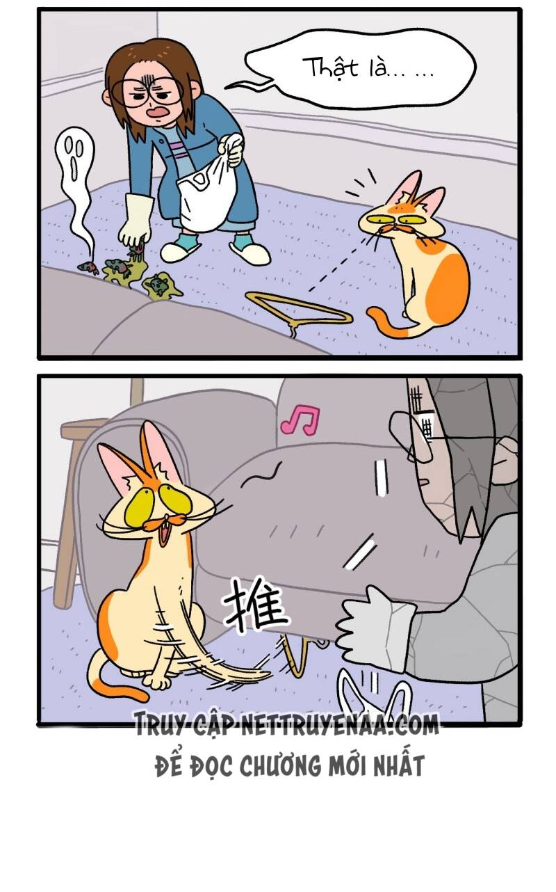 a mãn và mạch trà chapter 5 6