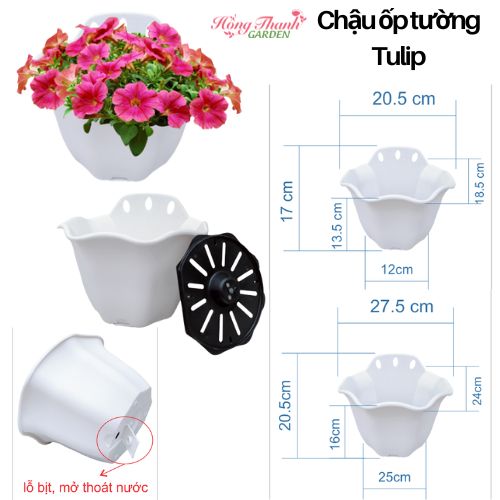 Combo Chậu ốp trường cao cấp, Chậu trồng cây treo hoa ban công, sân vườn, nhựa cao cấp dày bền đẹp độ bền 5 năm, nhiều kích thước