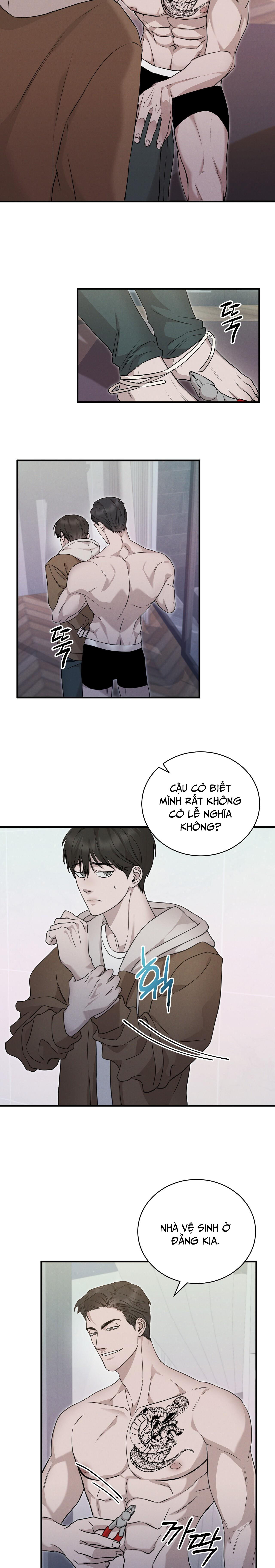 morpheus chapter 6 9