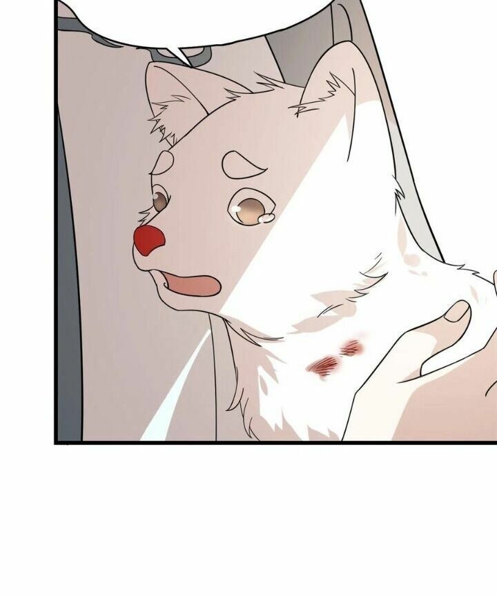 độc bộ thiên hạ: đặc công thần y chapter 242 28