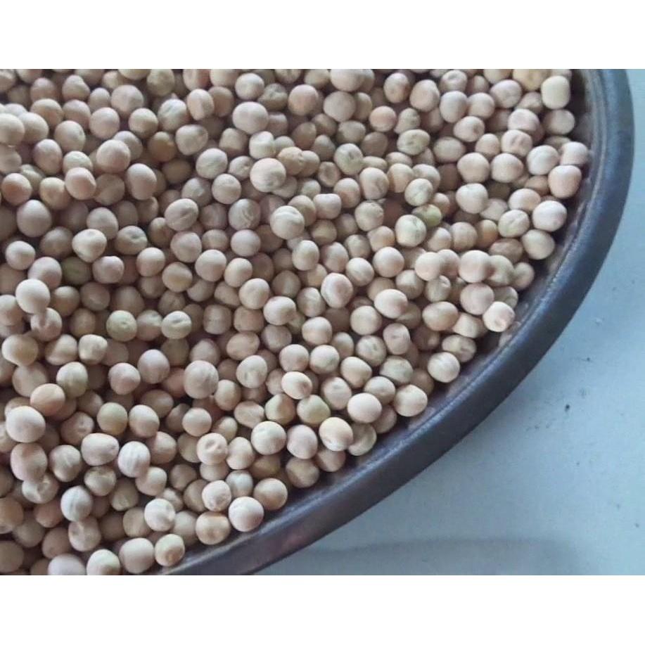 HẠT GIỐNG MẦM ĐẬU HÀ LAN GÓI 500G - HÀM LƯỢNG CAO, CHẤT LƯỢNG TỐT