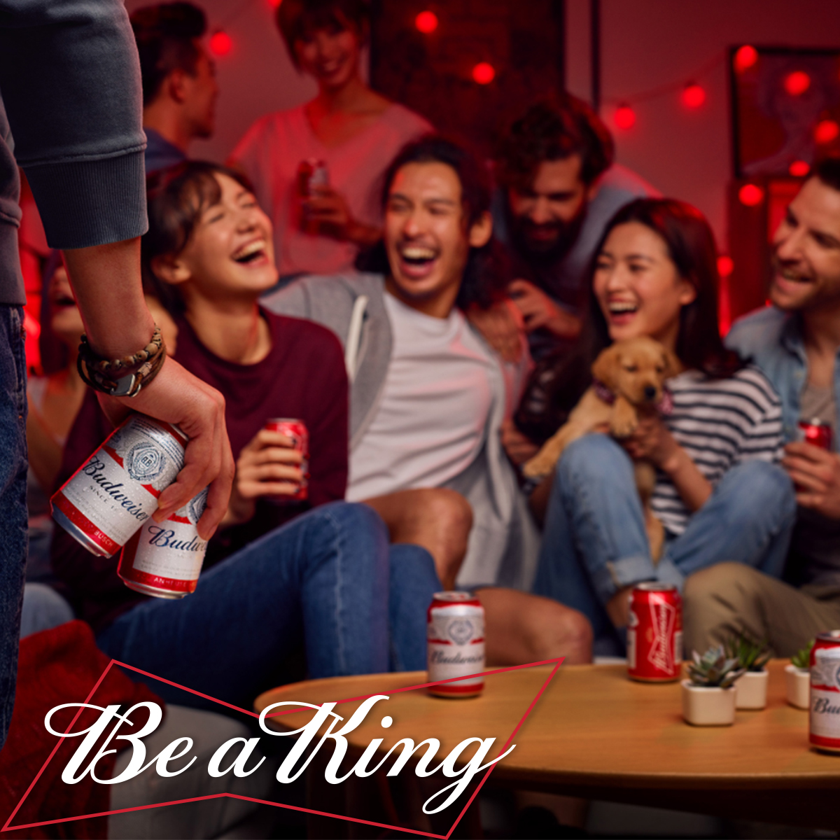Thùng 12 Lon Bia Budweiser (500ml / Lon)
