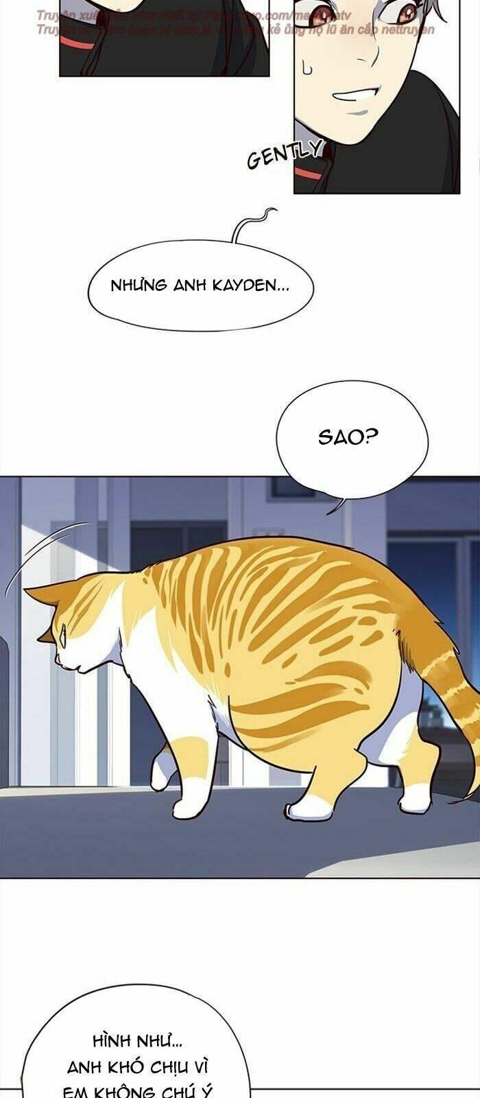 biến thân thành mèo chapter 36 84