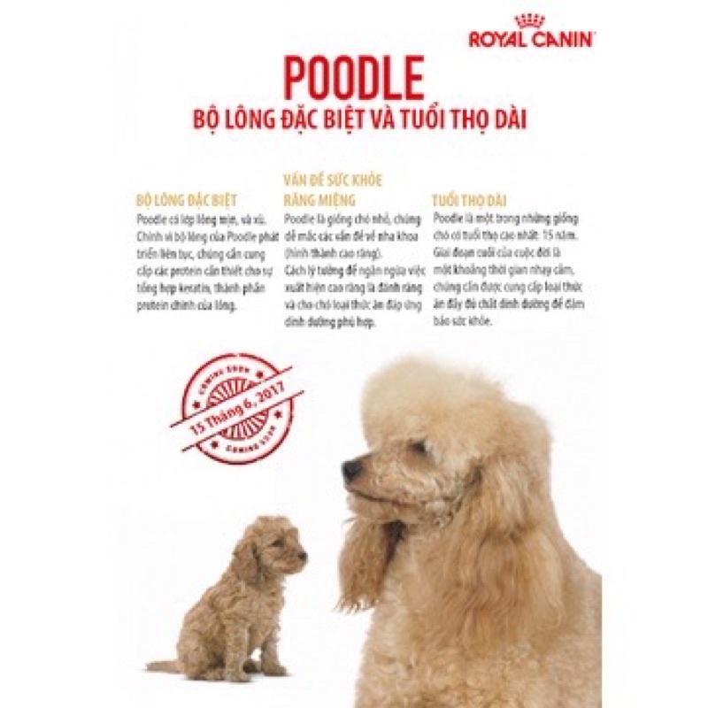 Thức ăn- Hạt khô Royal canin dành riêng cho chó poodle trưởng thành, giúp hỗ trợ sức khỏe của hệ thống miễn dịch