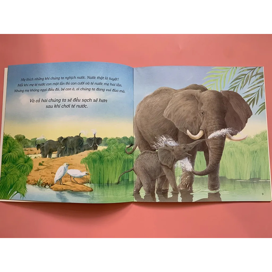 Ehon Châu Âu - Mẹ Yêu Con