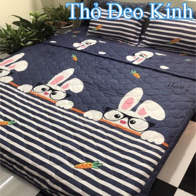 Bộ chăn hè Ga Gối Chất Đẹp Nhiều Mẫu m6/m8/2m2