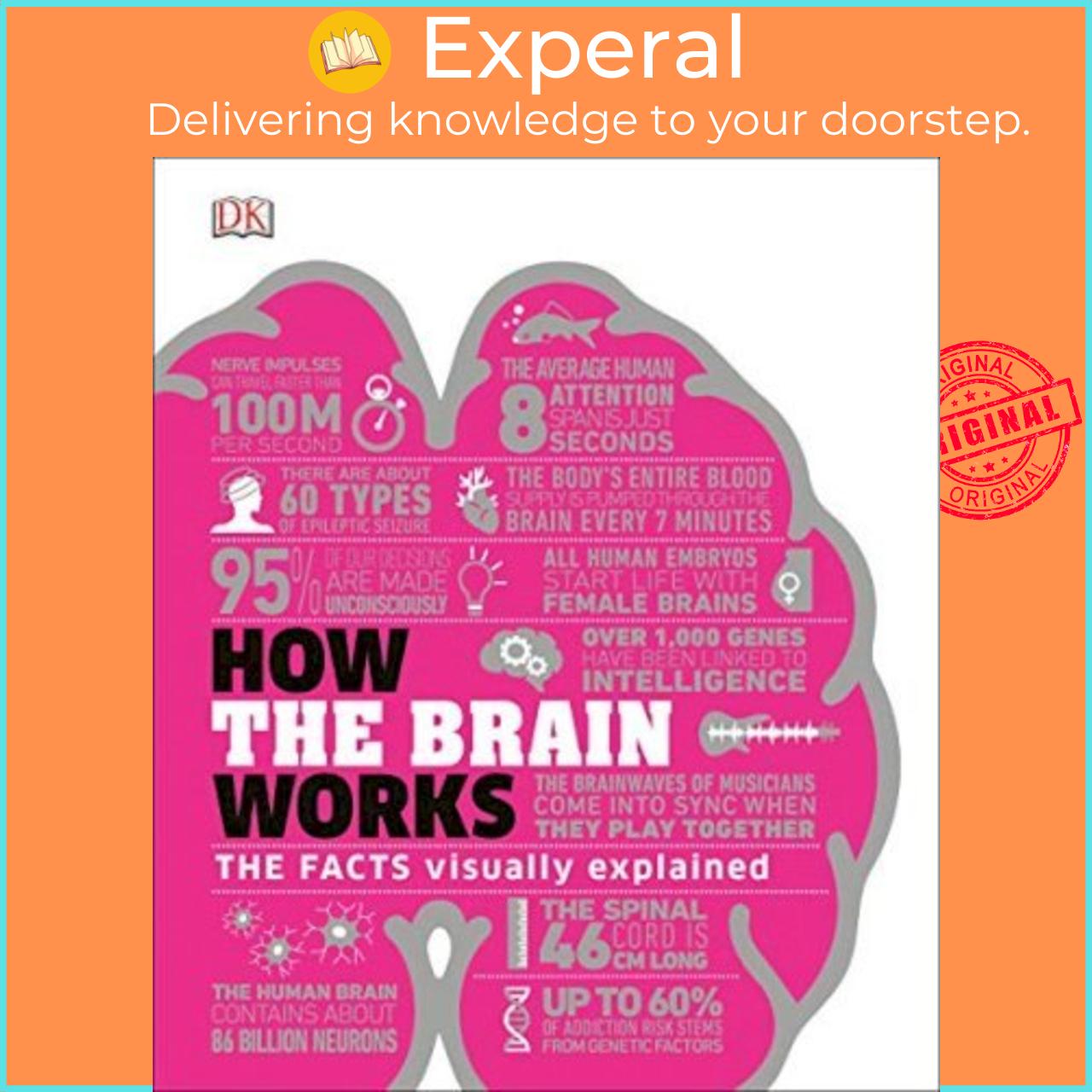 Sách - How the Brain Works : The Facts Visually Explained by DK