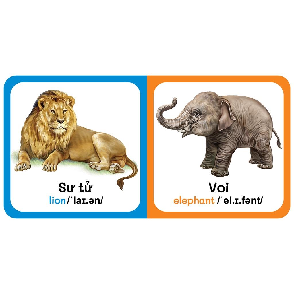 Sách - Baby'S First Picture Dictionary - Từ Điển Bằng Hình Đầu Tiên Của Bé - Động vật hoang dã - Wild Animals (Bìa Cứng)