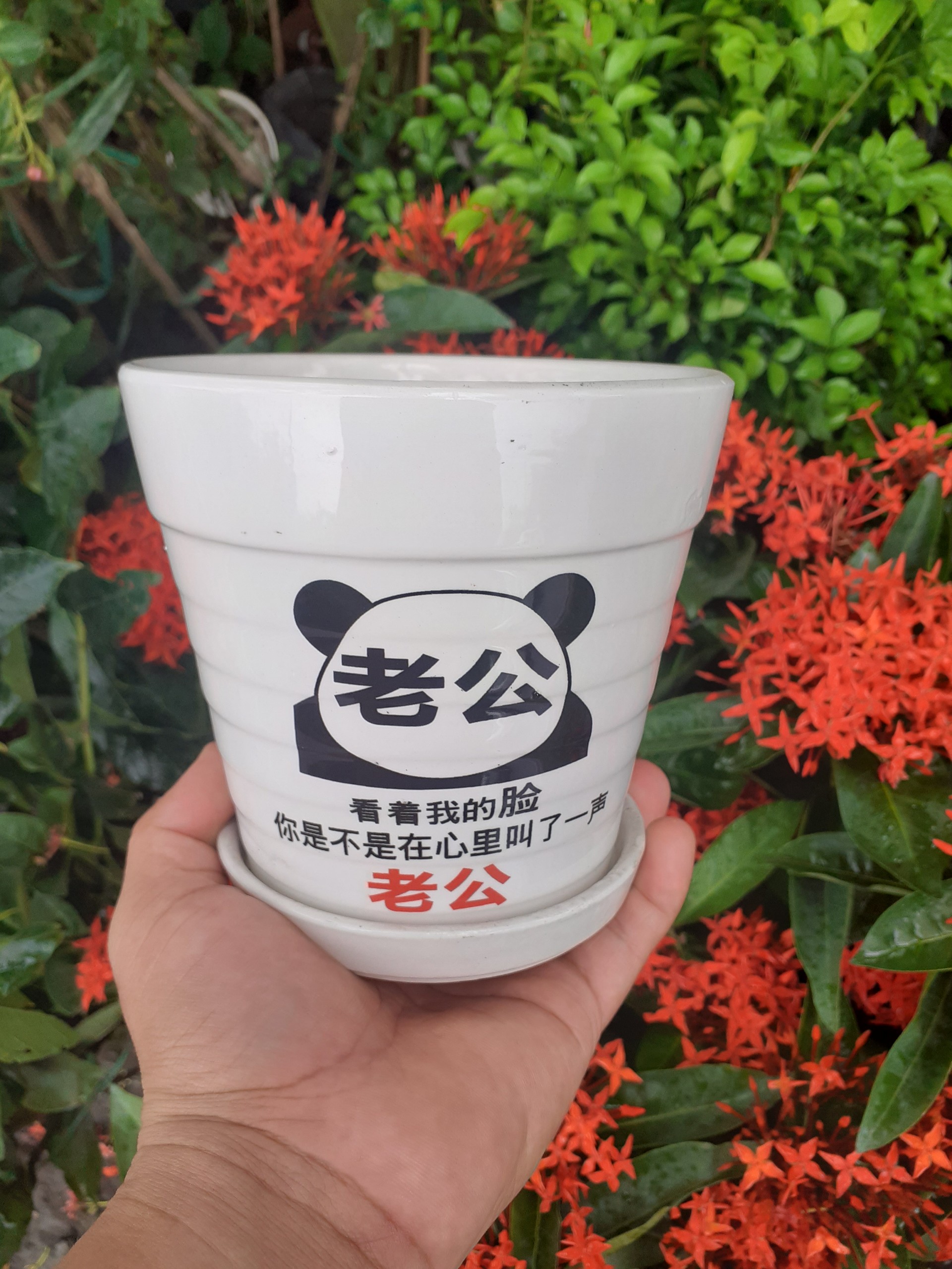 Chậu sứ tròn kèm dĩa trắng gấu panda kung fu
