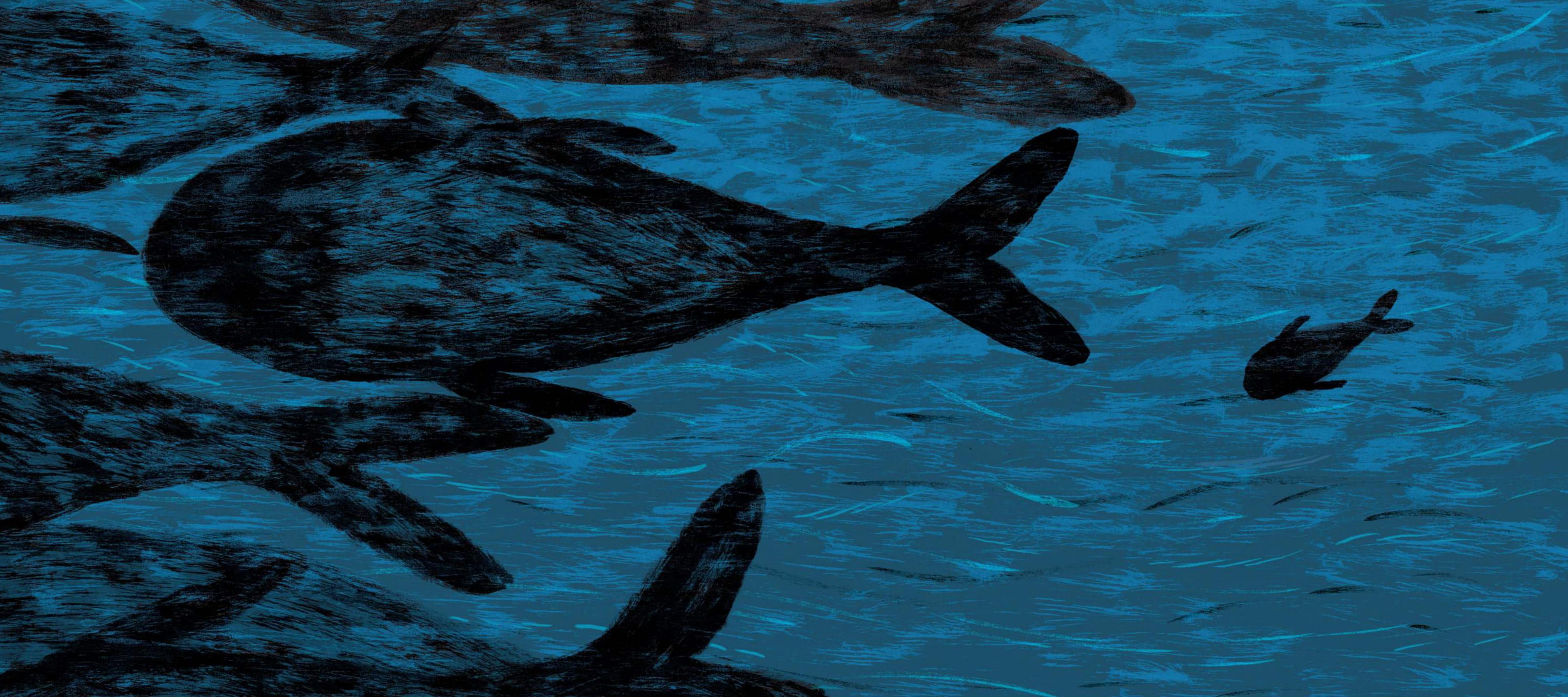 Sách - Boxset Cá Voi Đêm Bão Và Những Câu Chuyện Khác (Bộ 5 Cuốn) (Tái Bản 2025)