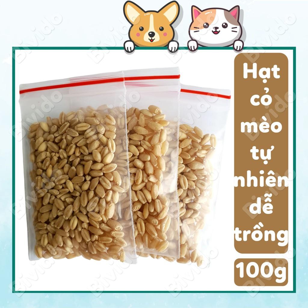 Hạt cỏ mèo trị búi lông dễ trồng túi zip 100g - Bivido