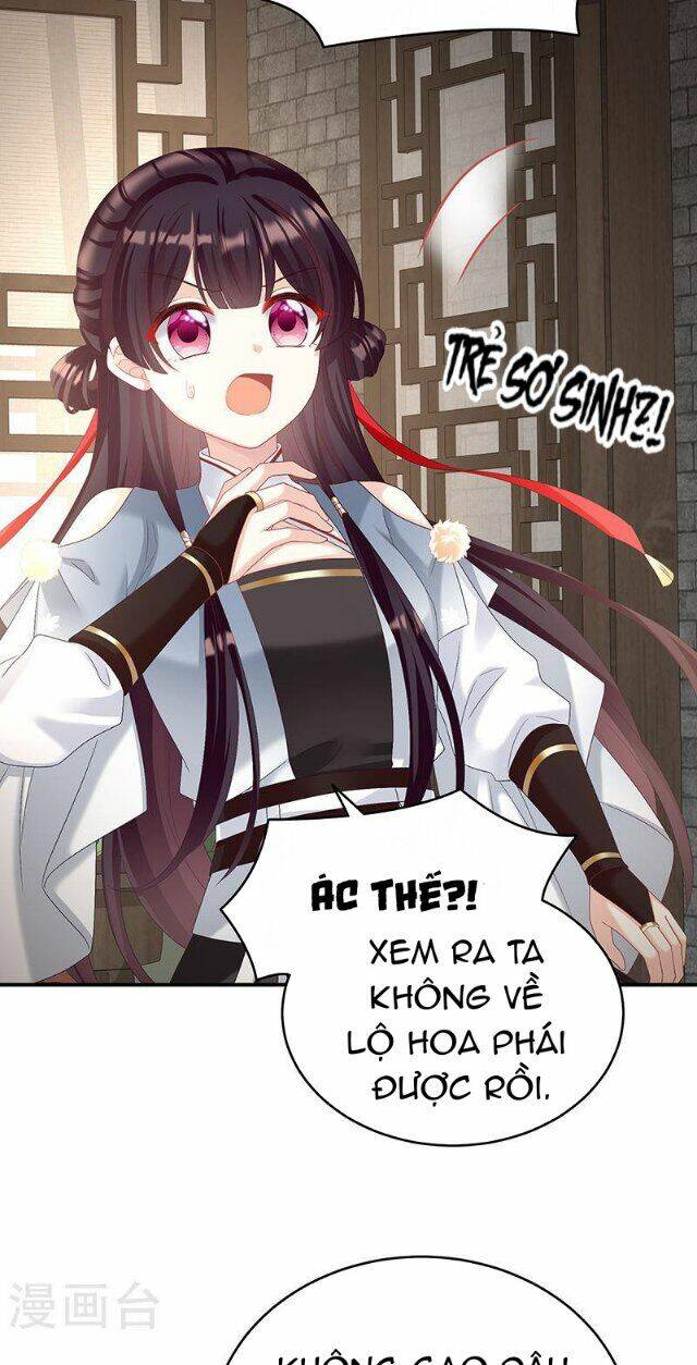 kiều phu có hỉ chapter 68 29