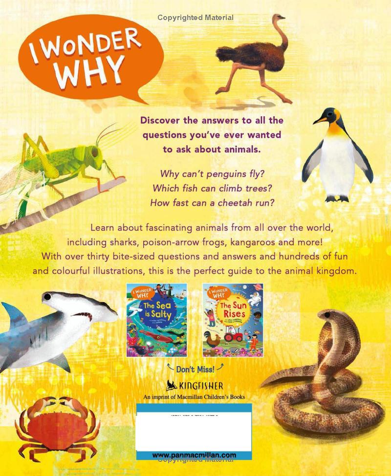 Sách ngoại văn: I Wonder Why Camels Have Humps