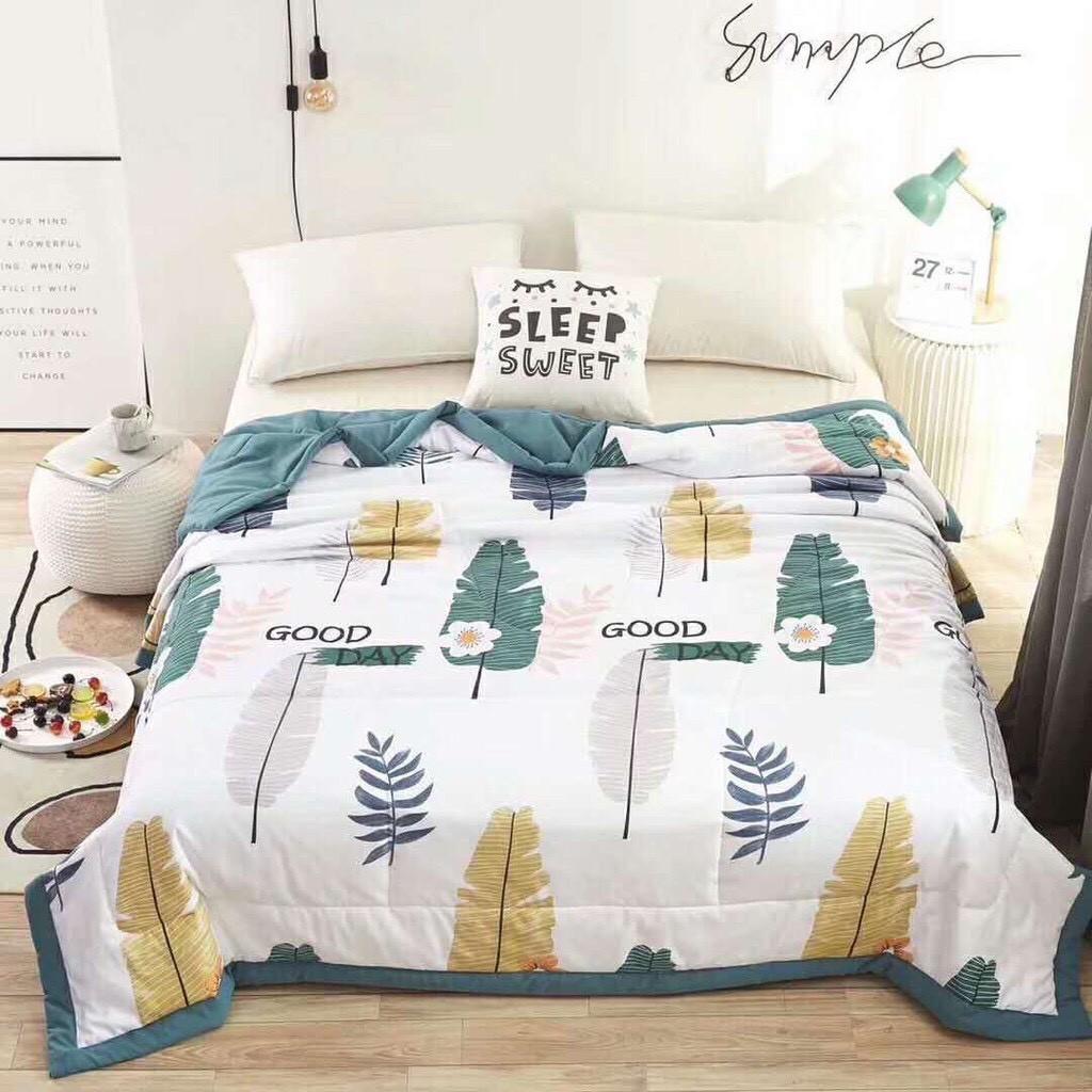 Chăn Hè Thu COTTON ĐŨI 100% mẫu mới - Hàng nhập khẩu cao cấp )