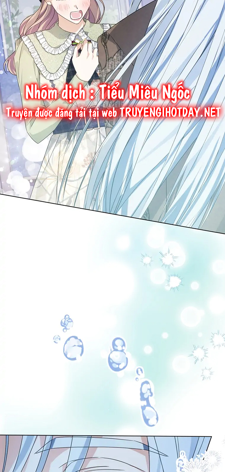 aster yêu dấu của tôi chapter 4 4